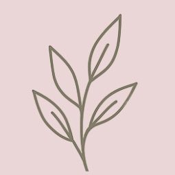 Zweig mit geschwungenen Blättern auf rosa Hintergrund.